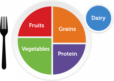 myplate brand labelled