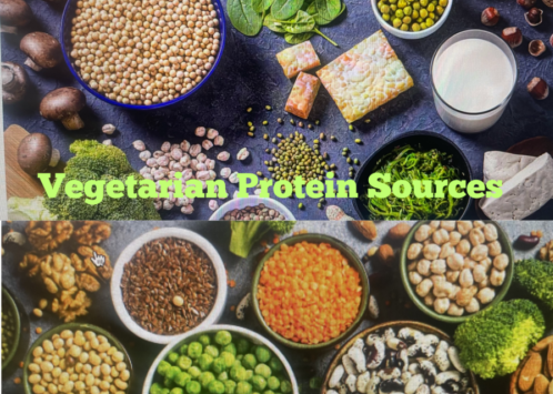vegeterian protein source